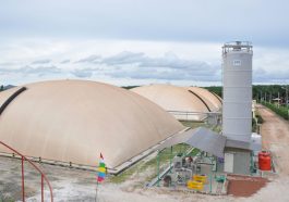 Pembangkit Listrik Biomassa