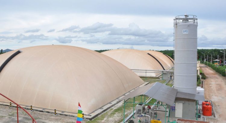 Pembangkit Listrik Biomassa