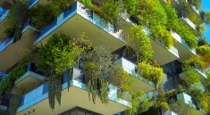 Penerapan Inovasi Hijau dalam Perkotaan