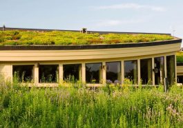 Green Roofs