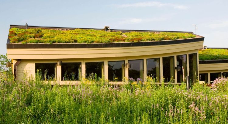 Green Roofs