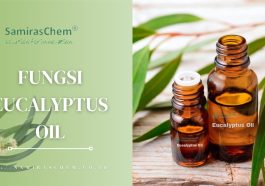 Manfaat Produk Pembersih Alami