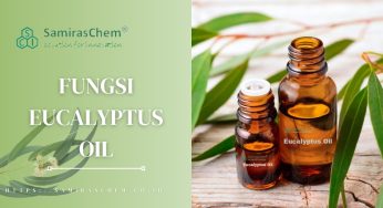 Bersih Tanpa Racun: Manfaat Produk Pembersih Alami untuk Kesehatan dan Lingkungan