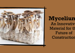 Inovasi Mycelium