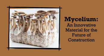 Inovasi Mycelium: Teknologi Konstruksi Ramah Lingkungan dengan Jamur