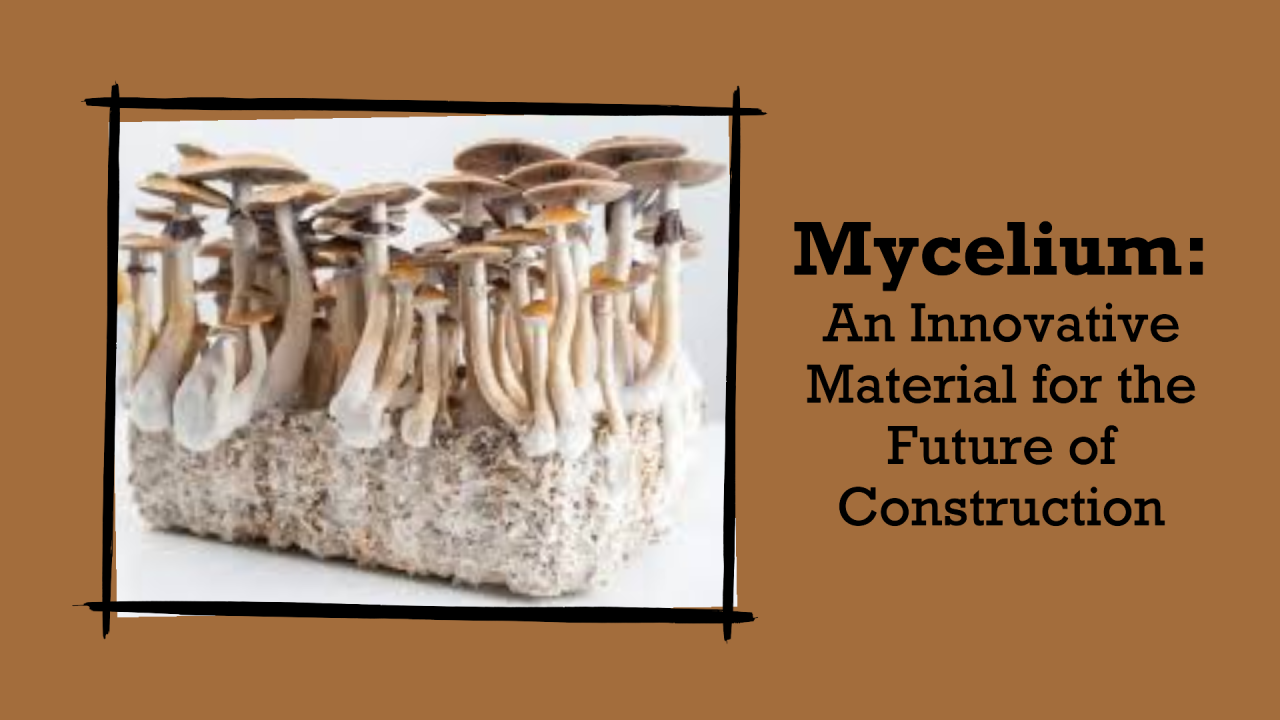 Inovasi Mycelium