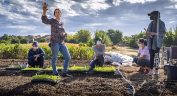 Hijau dari Halaman Sendiri: Tradisi Berkebun Rumah di Selandia Baru
