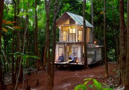 Membangun Rumah di Hutan Terpencil