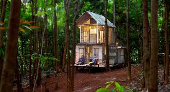 Menemukan Kedamaian: Cerita Membangun Rumah di Hutan Terpencil