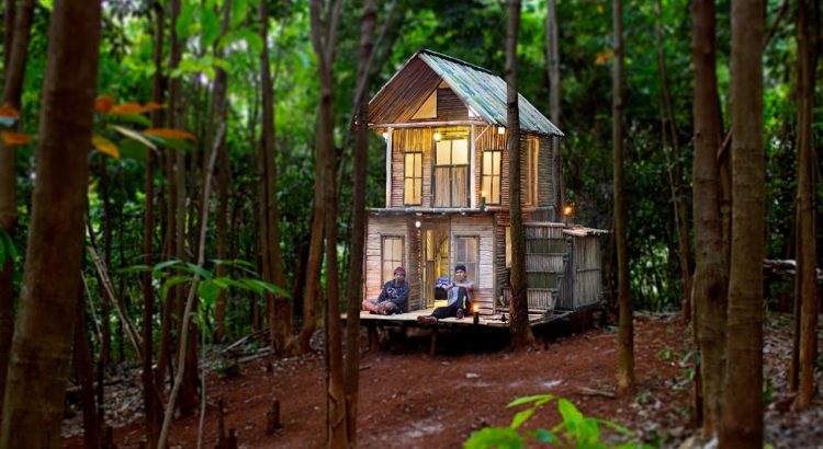 Membangun Rumah di Hutan Terpencil