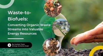 QNB Dorong Energi Bersih Lewat Biofuel dan Hidrogen