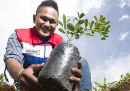 Pertamina Gaungkan Misi Hijau