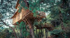 Suka Duka Hidup di Tengah Hutan