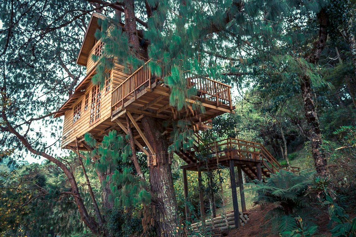 Suka Duka Hidup di Tengah Hutan