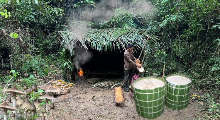 Tinggal di Hutan
