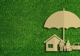 Green Credit Insurance