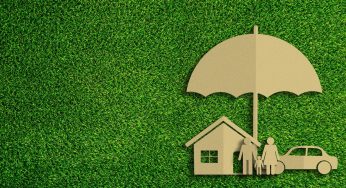 Terobosan Hijau! Green Credit Insurance Resmi Diluncurkan di Asia Tenggara