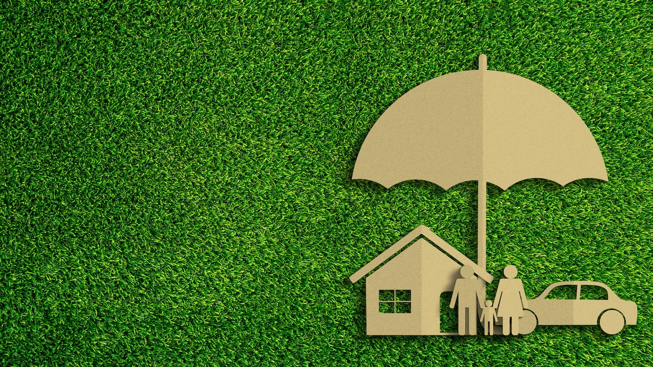 Green Credit Insurance