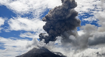 Abu Vulkanis Gunung Lewotobi Hancurkan Harapan Petani Kakao dan Jambu Mente